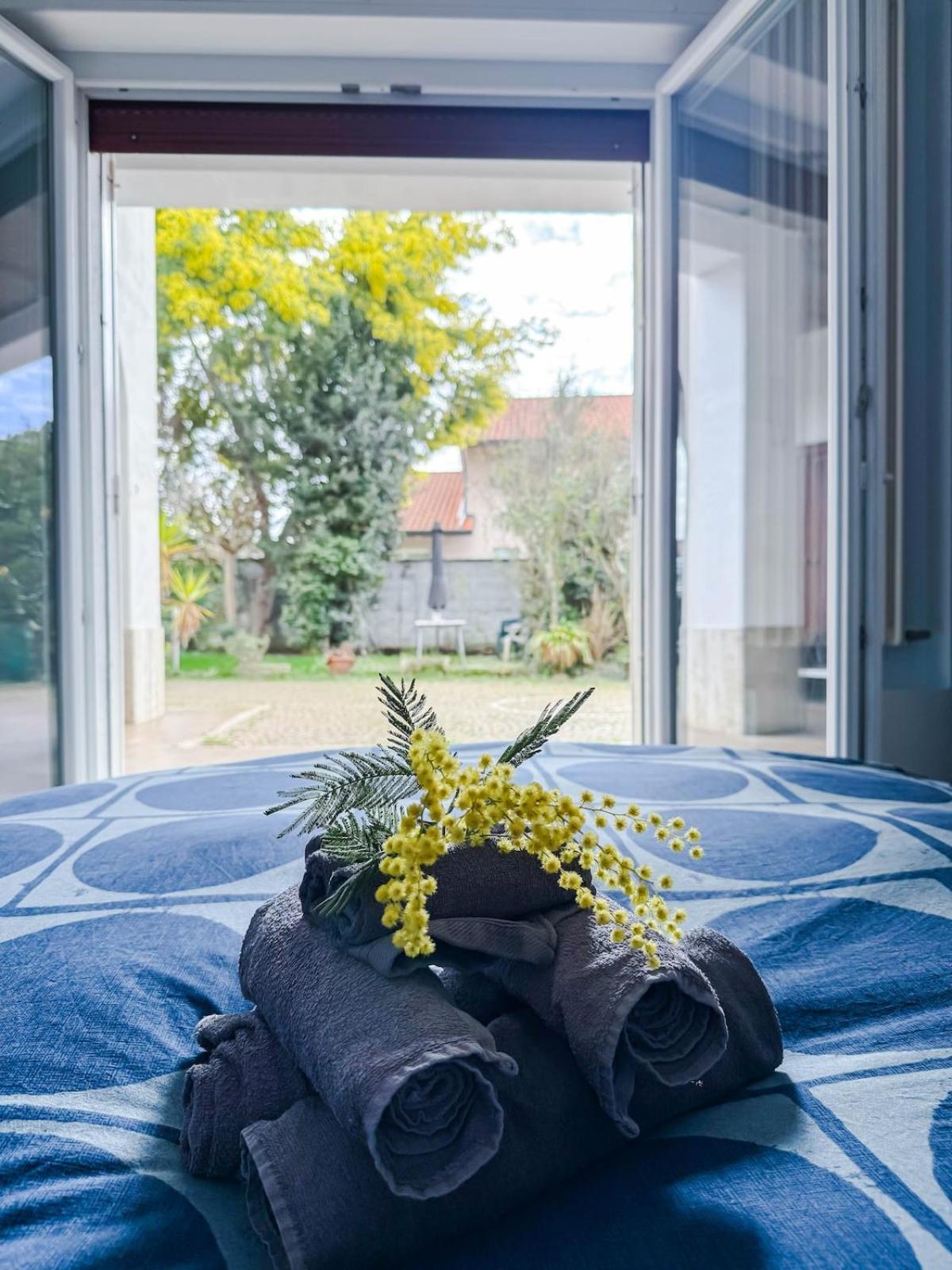 Villa Mimosa Cassano Magnago Zewnętrze zdjęcie